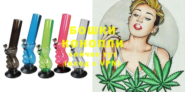 мдпв Семилуки