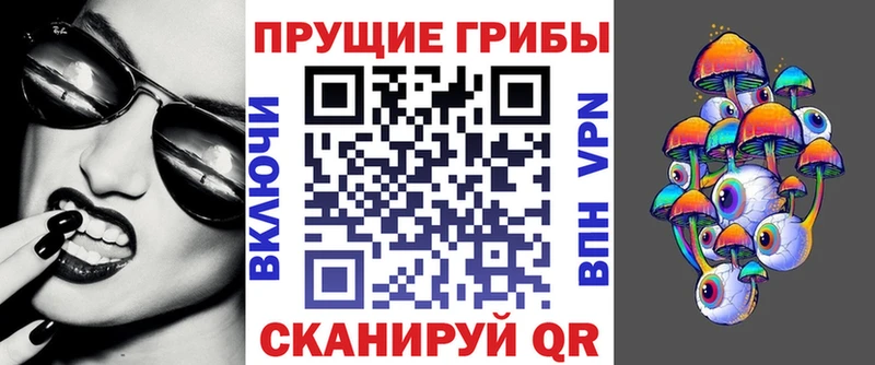 Купить где  Белгород  Галлюциногенные грибы Psilocybe 